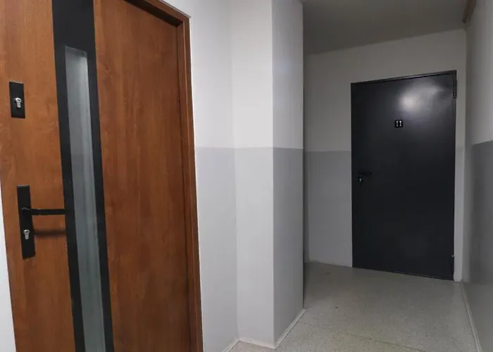 Milo I Wygodnie W Centrum راتشيبوش